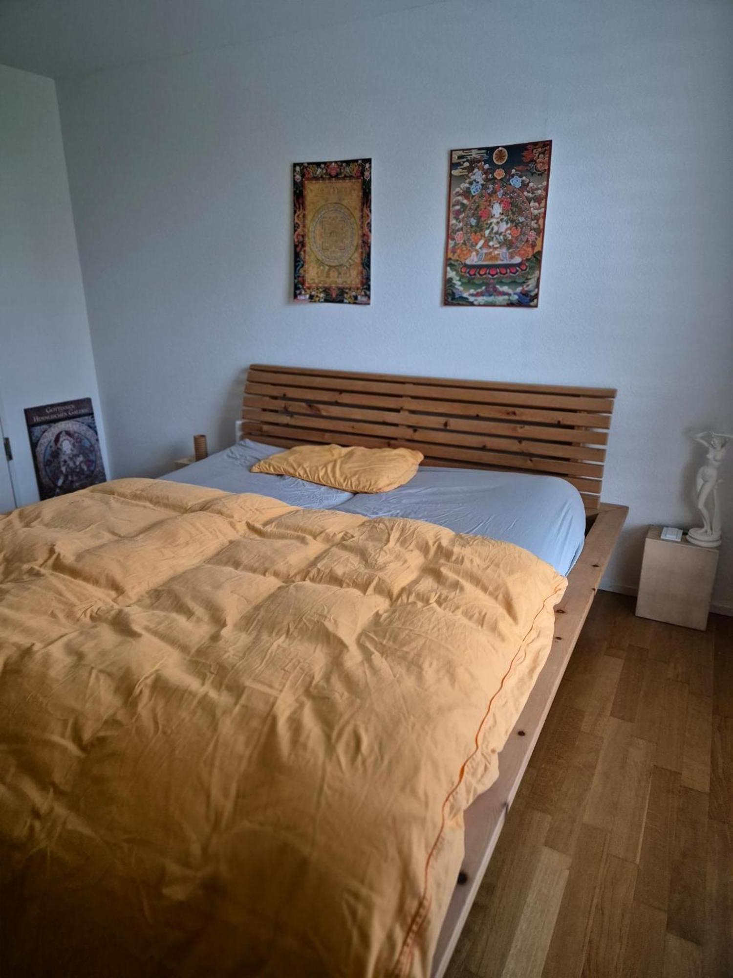 Zimmer In Penthouse-Wohnung Windisch Rum bild