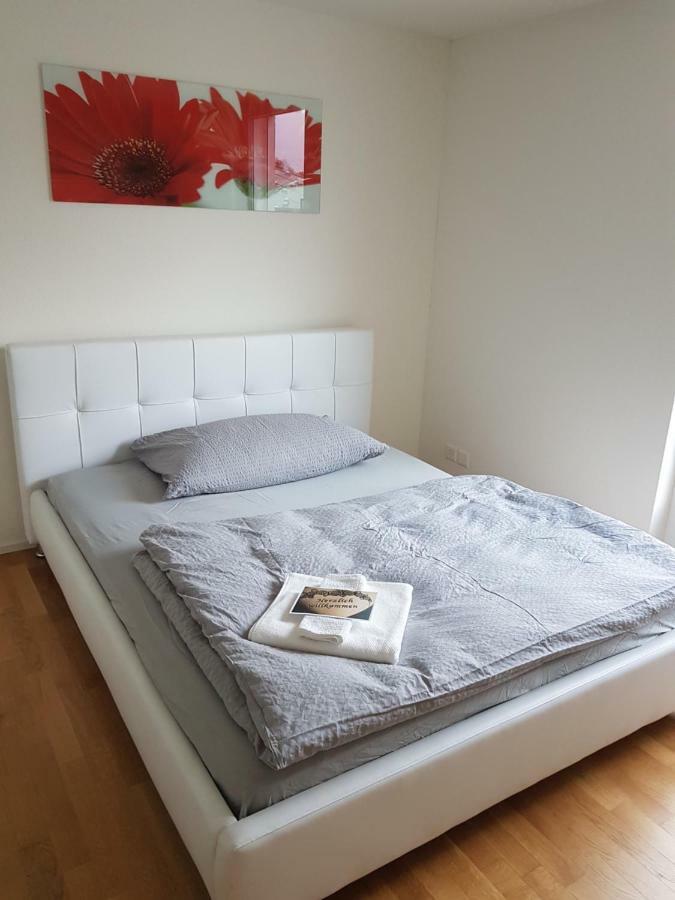 Zimmer In Penthouse-Wohnung Windisch Exteriör bild