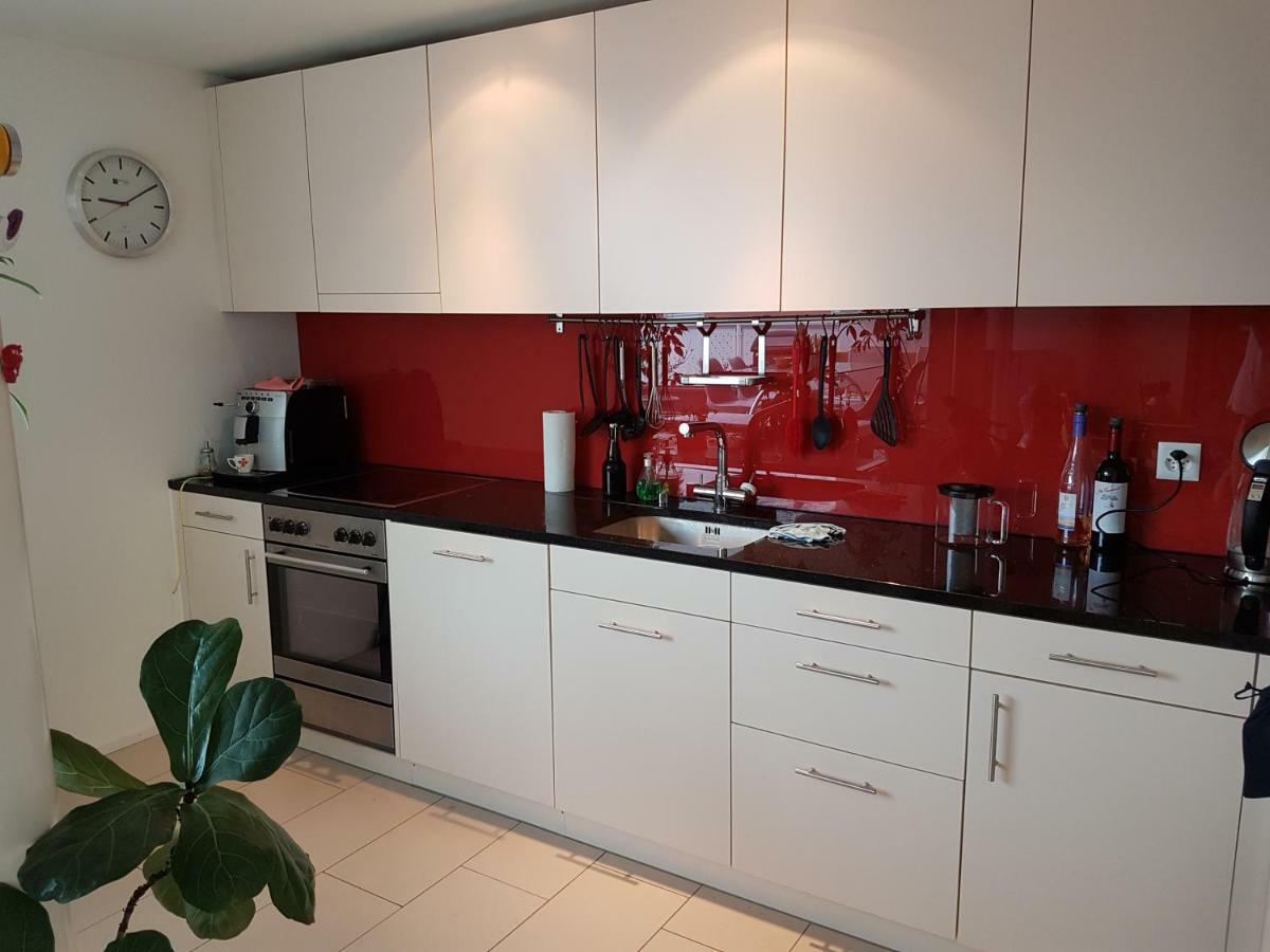 Zimmer In Penthouse-Wohnung Windisch Exteriör bild