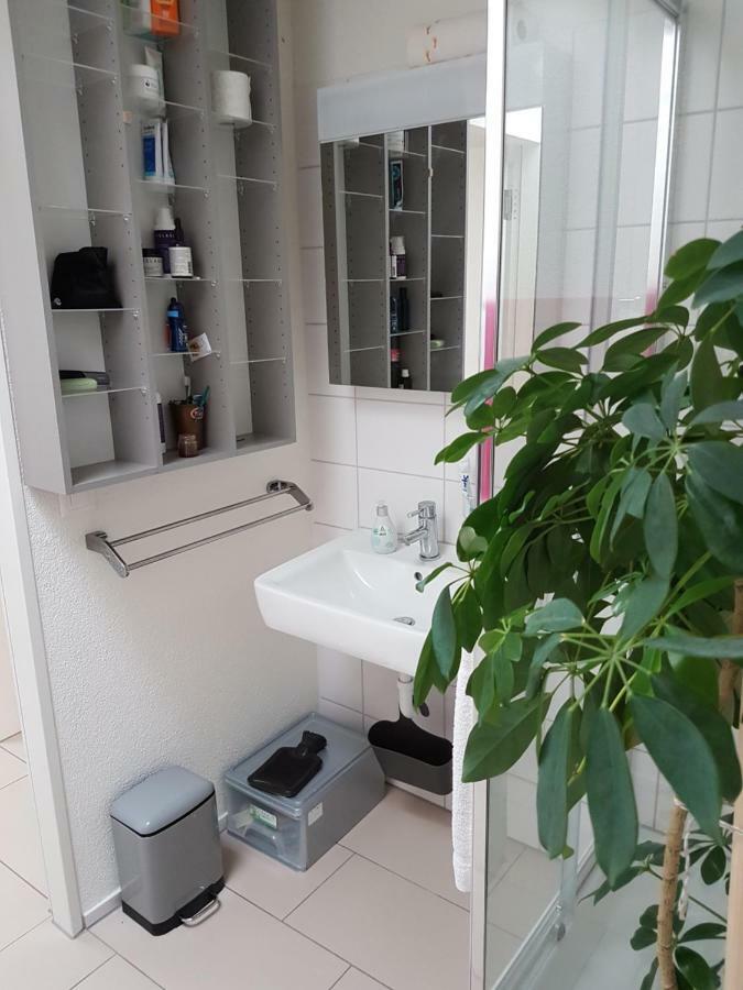 Zimmer In Penthouse-Wohnung Windisch Exteriör bild