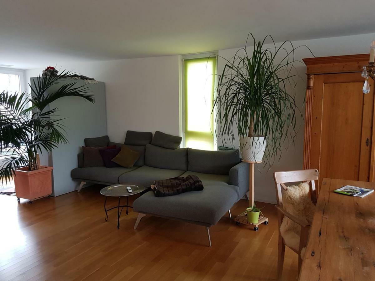 Zimmer In Penthouse-Wohnung Windisch Exteriör bild