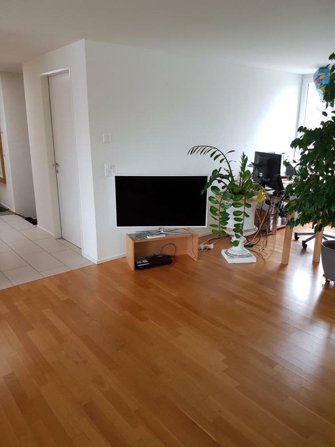 Zimmer In Penthouse-Wohnung Windisch Exteriör bild