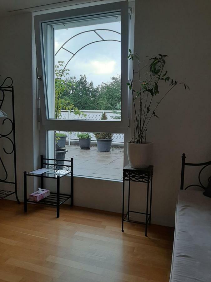Zimmer In Penthouse-Wohnung Windisch Exteriör bild